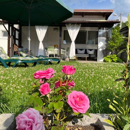 Charmante Petite Maison Transylvanie Vila Săcele Exterior foto